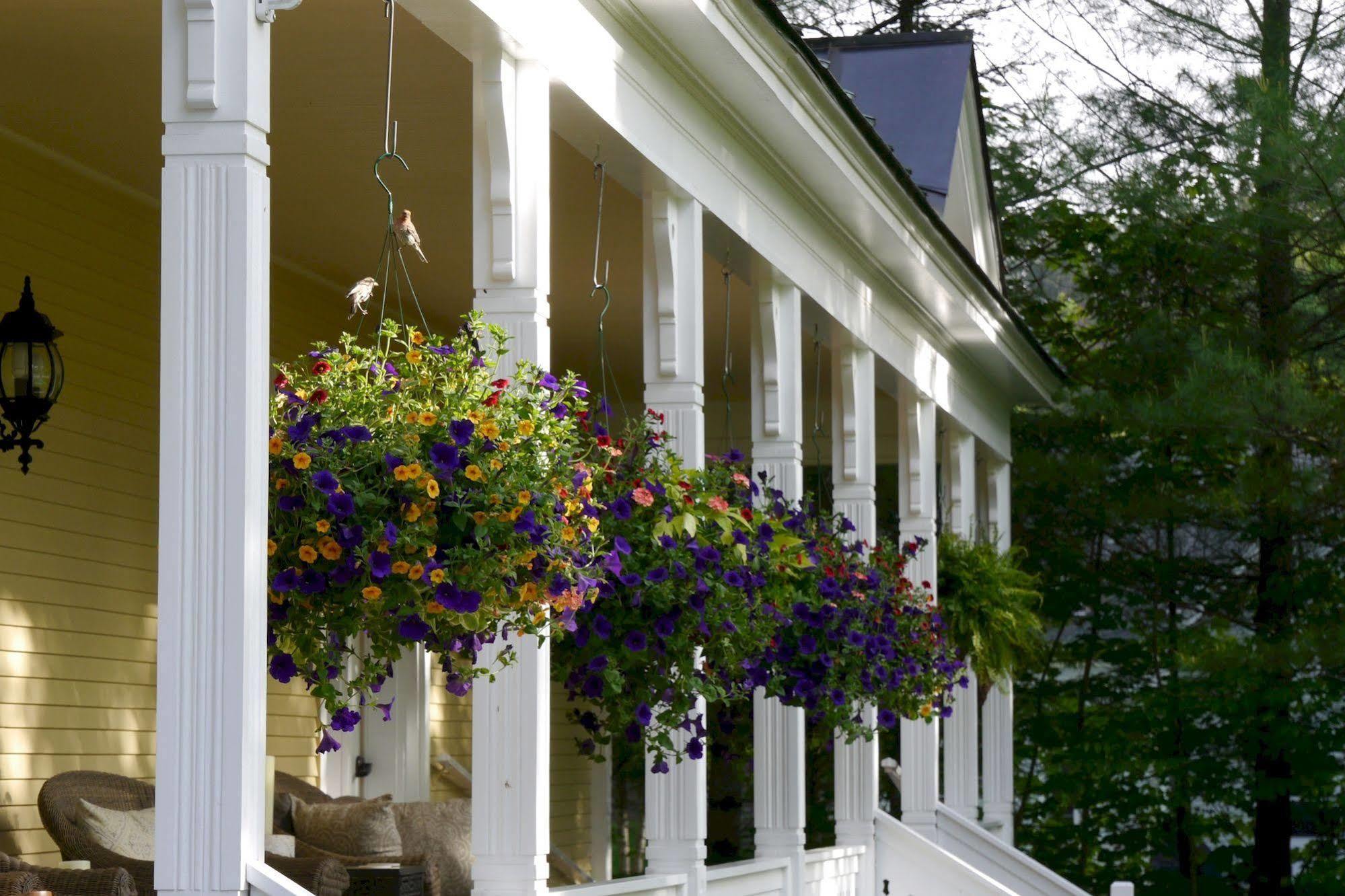 Inn The Jackson 4*